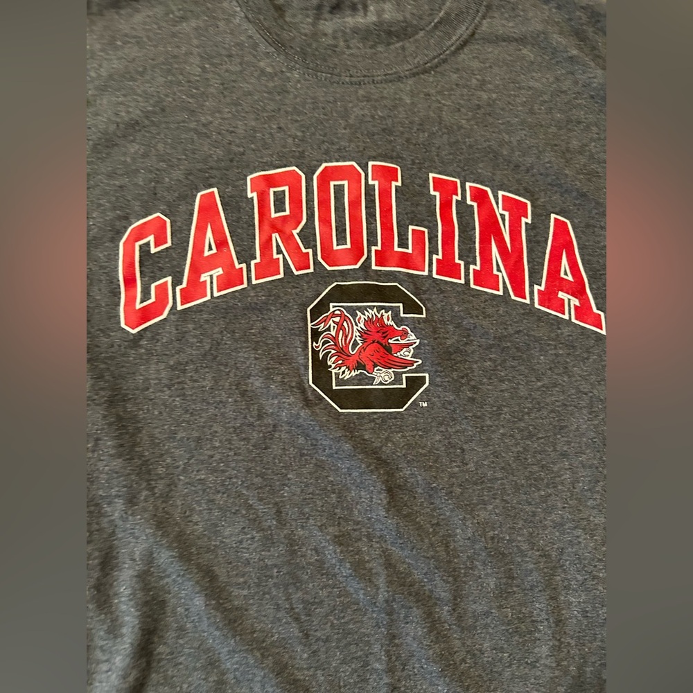 Gray Carolina Graphic T-Shirt men’s small